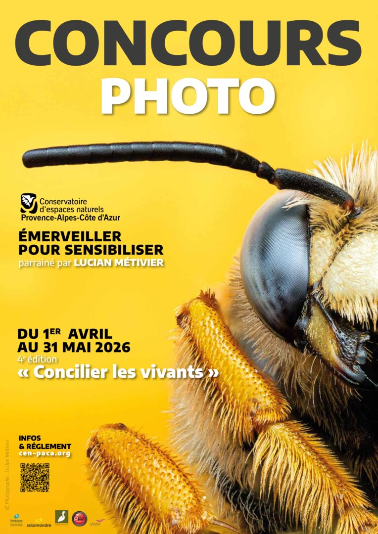 Concours Photo "COncilier les Vivants"