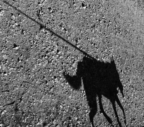 20251218 Ali El Oddi Silhouette 9827 FPF