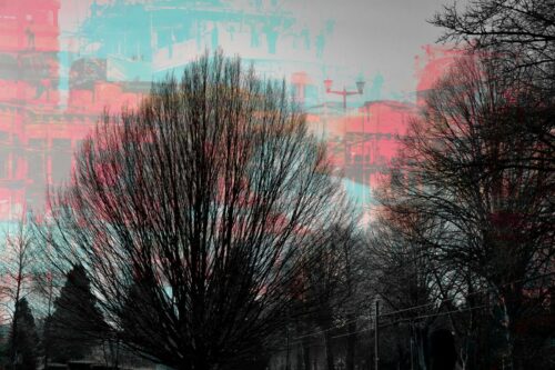 20251218 Annick Feroldi Arbre A1 FPF