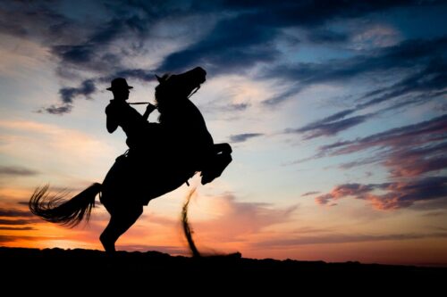 20251218 Christophe Roy Silhouette S1 FPF