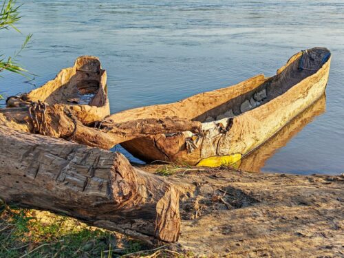 20251218 Jean Yves Lagier Arbre JYL FPF