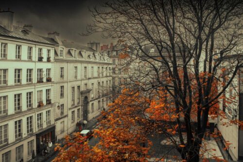 Kristine Alcouffe<br>Un automne à Paris<br>Arbre