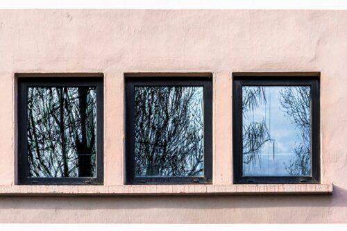 20251218 Kristine Alcouffe Arbre L0005 FPF