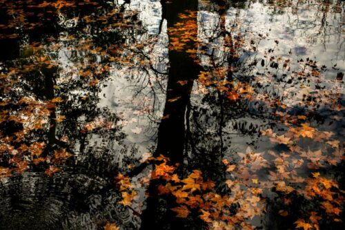 20260122 Corinne Gabriel Arbre