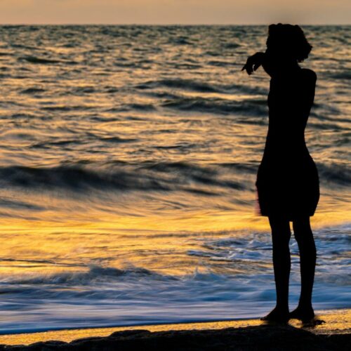 20260122 Laurent Lebreton Silhouette