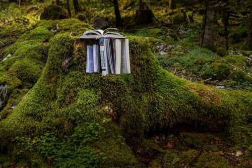 20260122 Marie France Seghetti Arbre (2)