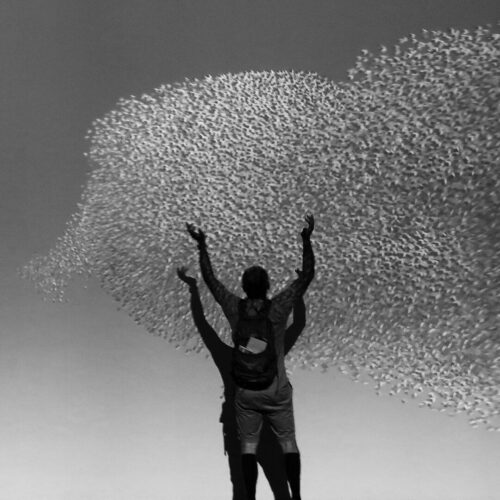 20260122 Michel Testard Silhouette (2)