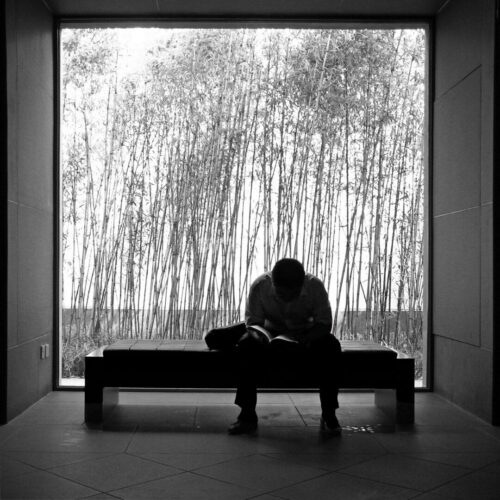 20260122 Michel Testard  Silhouette