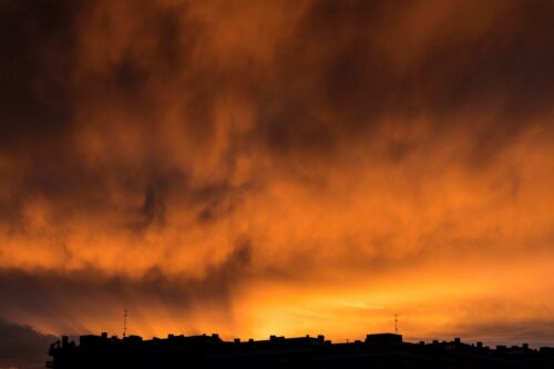 20260122 Régis Plantevin Silhouette (2)