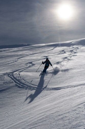 20260122 Thierry Burel Silhouette (2)