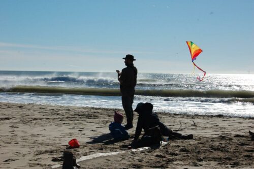 20260122 Veronique Perrin Fargeat Silhouette CERFVOLANT 2