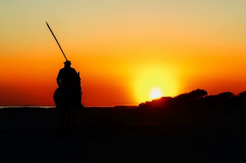 20260219 Annick Feroldi Silhouette 5