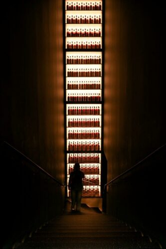 20260219 Cecilia Tarpau Silhouette (1)