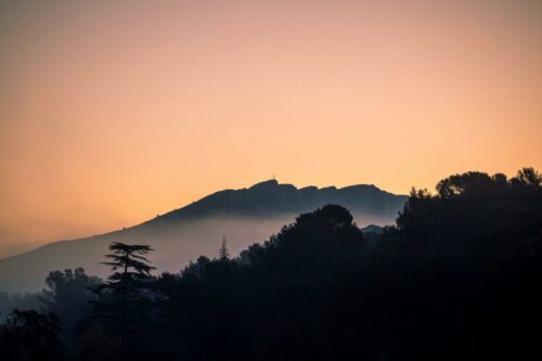 20260219 Cecilia Tarpau Silhouette (2)