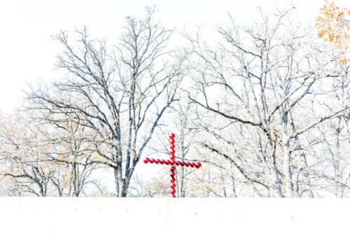 20260219 Christine Fromain Arbre 2