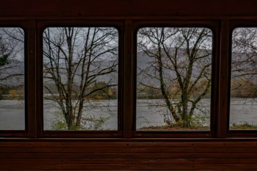 20260219 Fabien Sartoris Arbre P1000387-topaz