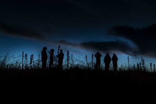 20260219 Marie France Seghetti Silhouette (2)