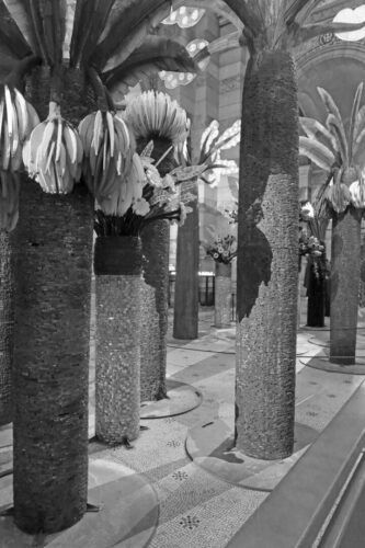 20260219 Michel Testard  Arbre