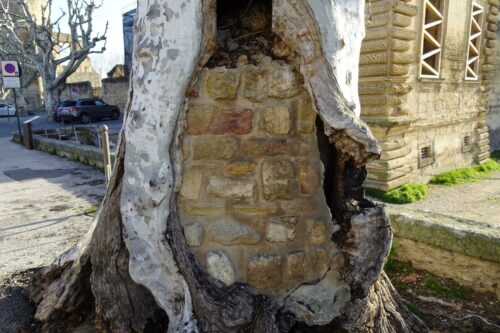 20260219 Michel Yevnine Arbre (1)