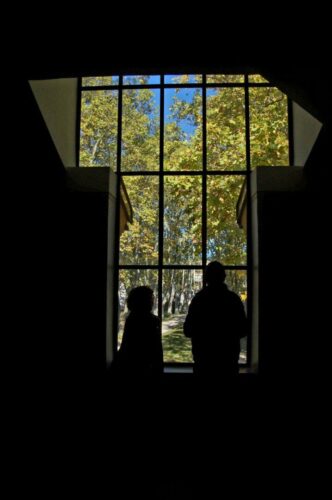 20260219 Veronique Perrin Fargeat Silhouette FENETRE1