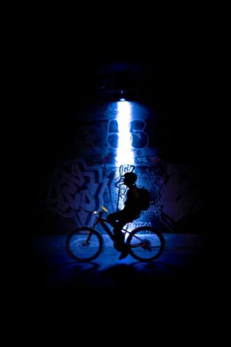 Delphine Catau<br>Stranger things<br> Silhouette