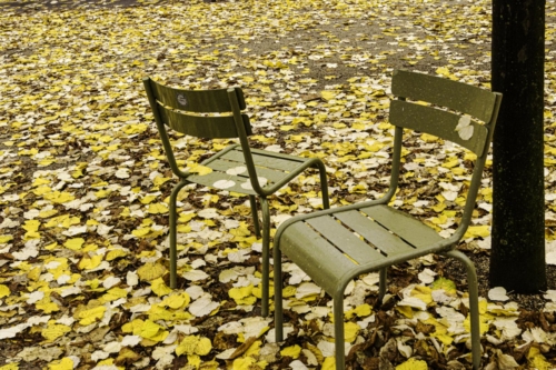 C'est l'automne par Annick Feroldi (Octobre 2023)