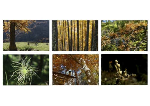 "L'automne en montagne" par Thierry Eon