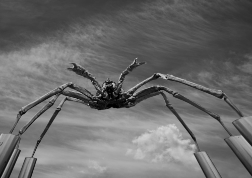 Francis La Barbera ”L’araignée de Toinou”
