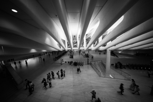 20250629-New York-1025