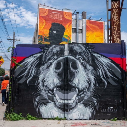 20250701-New York-0687