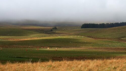 08-2025 09 Mh570A169