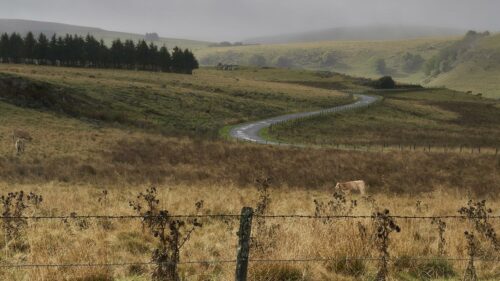 - Marie Hélène Doucet